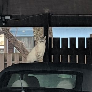 Meet your Posher, K.r.